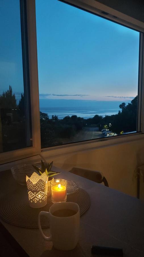 Pipo Mareda Lägenhet Novigrad Istria
