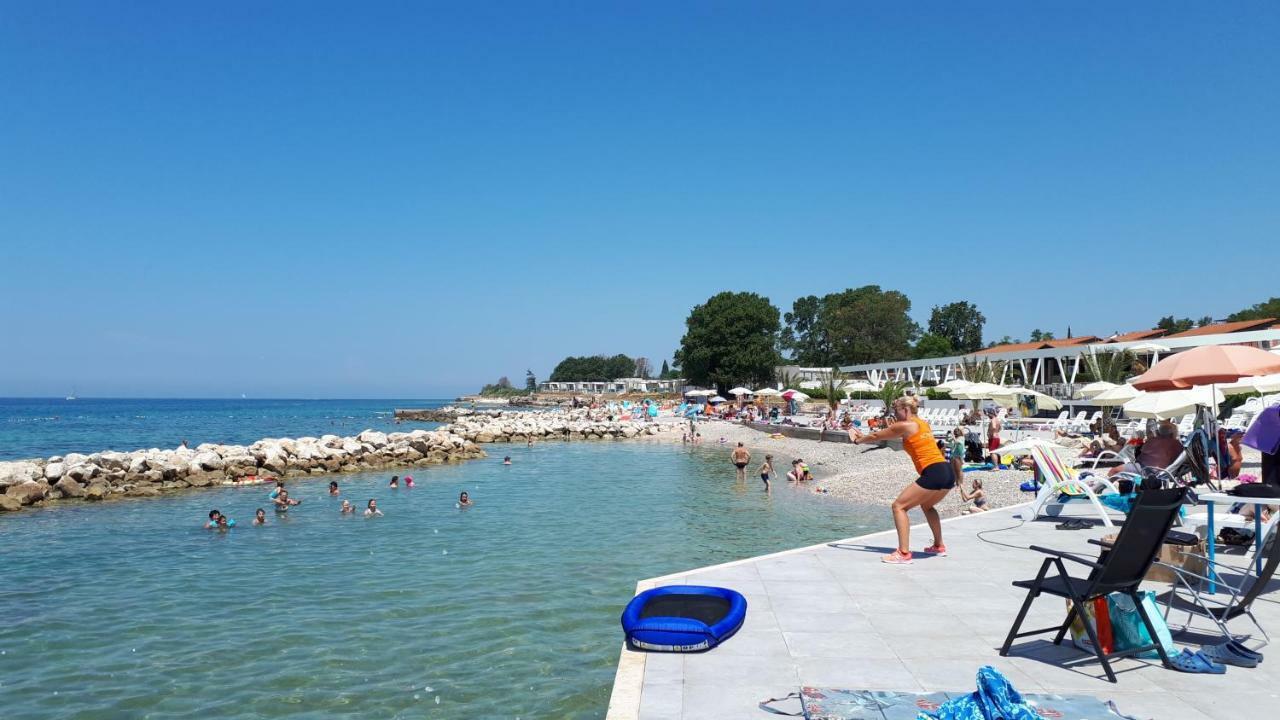 Apartment Pipo Mareda Novigrad (Istria)